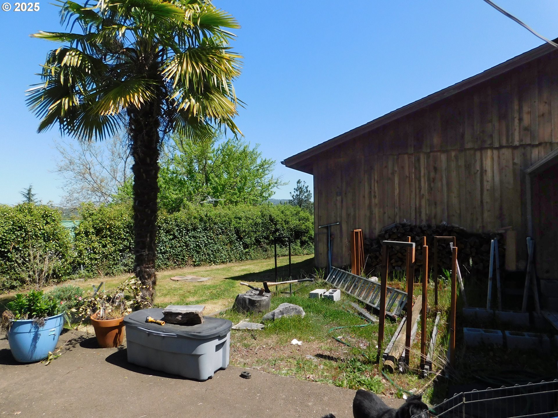 231 Northeast Darrell Avenue Winston, OR 97496 - Photo 7 of 47 a view of a backyard with plants and a patio
