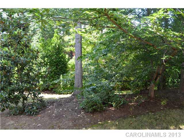 10106 Paradise Ridge Road Charlotte, NC 28277 - Photo 15 of 15 Gallery Image 15