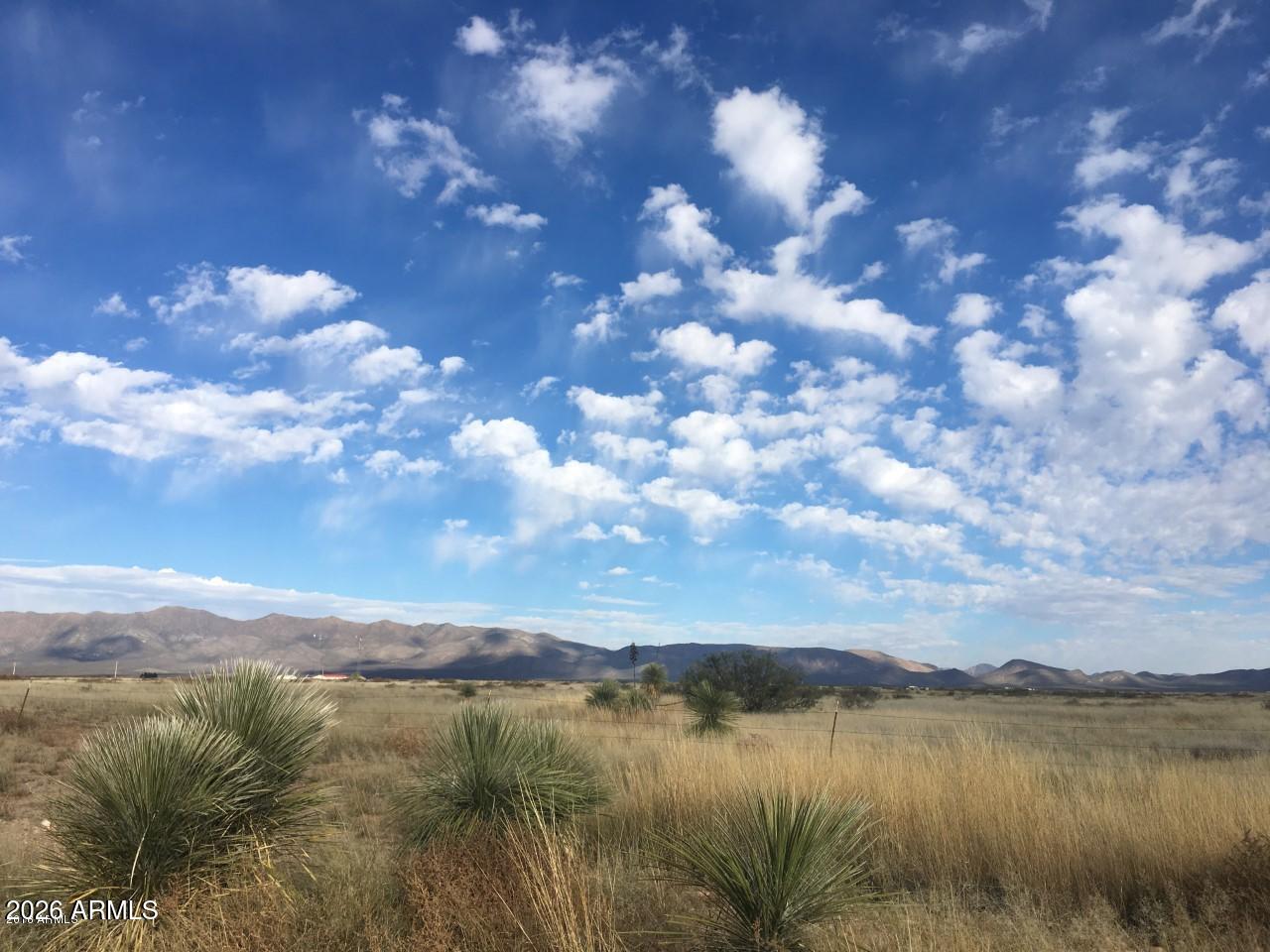 Xxxx North James Ranch Road, Unit 2 McNeal, AZ 85617 - Photo 2 of 6 NE Ranch Rd plants