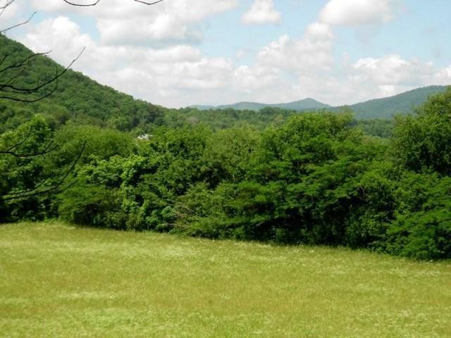 360 Old Mill Road Tellico Plains, TN 37385 - Photo 1 of 5 a view of a yard with a trees