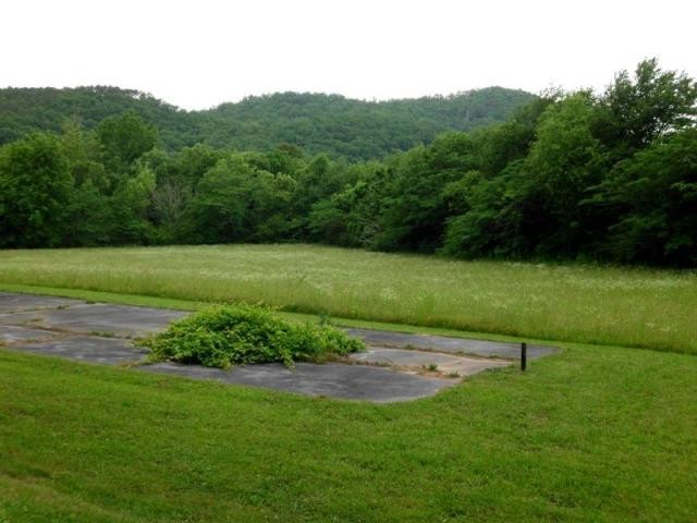 360 Old Mill Road Tellico Plains, TN 37385 - Photo 3 of 5 a view of a park