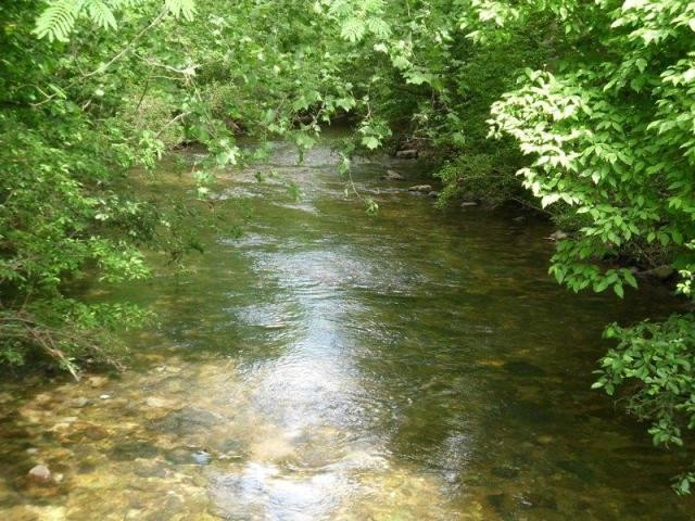 360 Old Mill Road Tellico Plains, TN 37385 - Photo 5 of 5 a view of a lake view