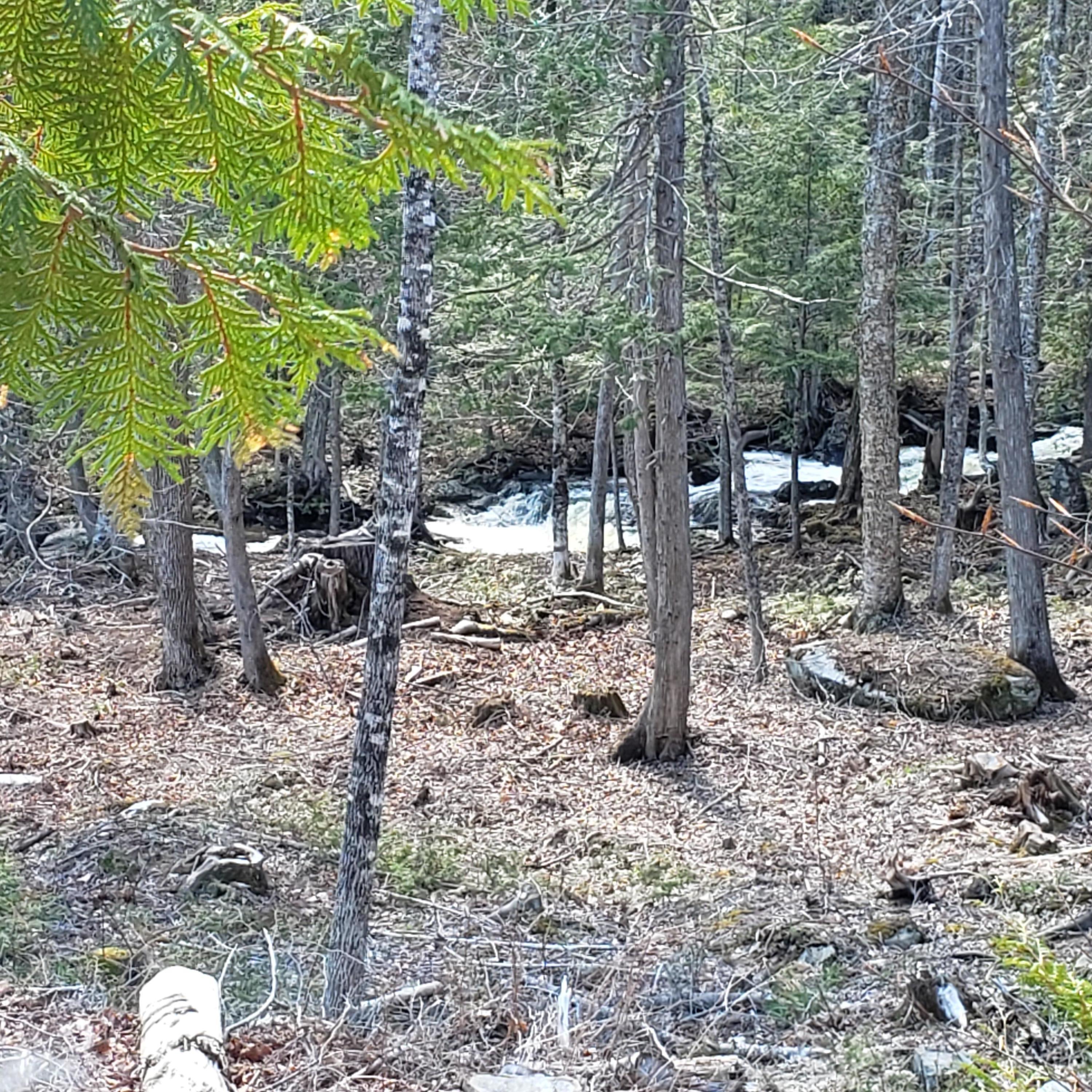 0 South Road Lincoln, ME 04457 - Photo 20 of 75 20210501_152200