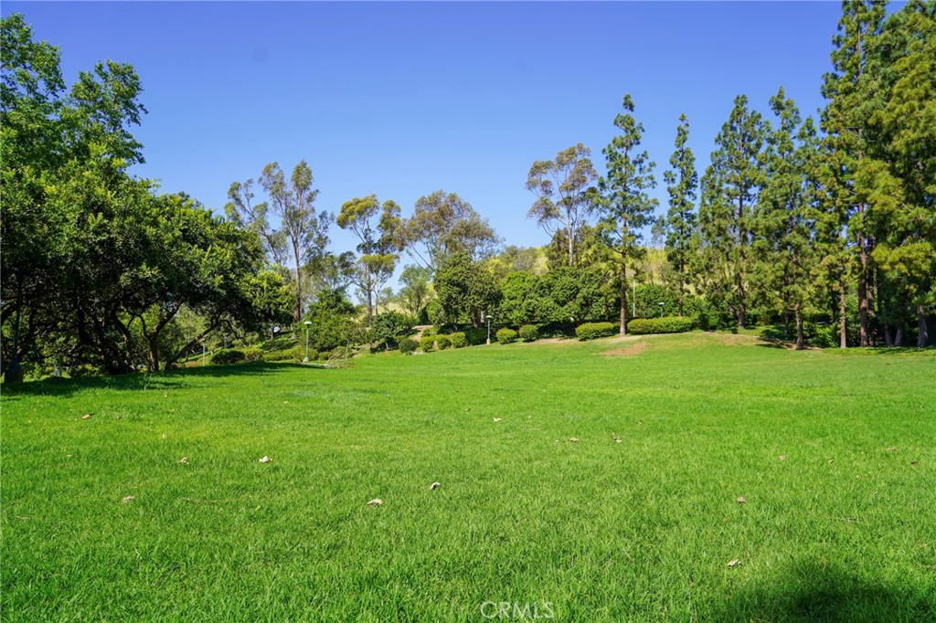 17 Rippling Streme Irvine, CA 92603 - Photo 59 of 60 HOA Park