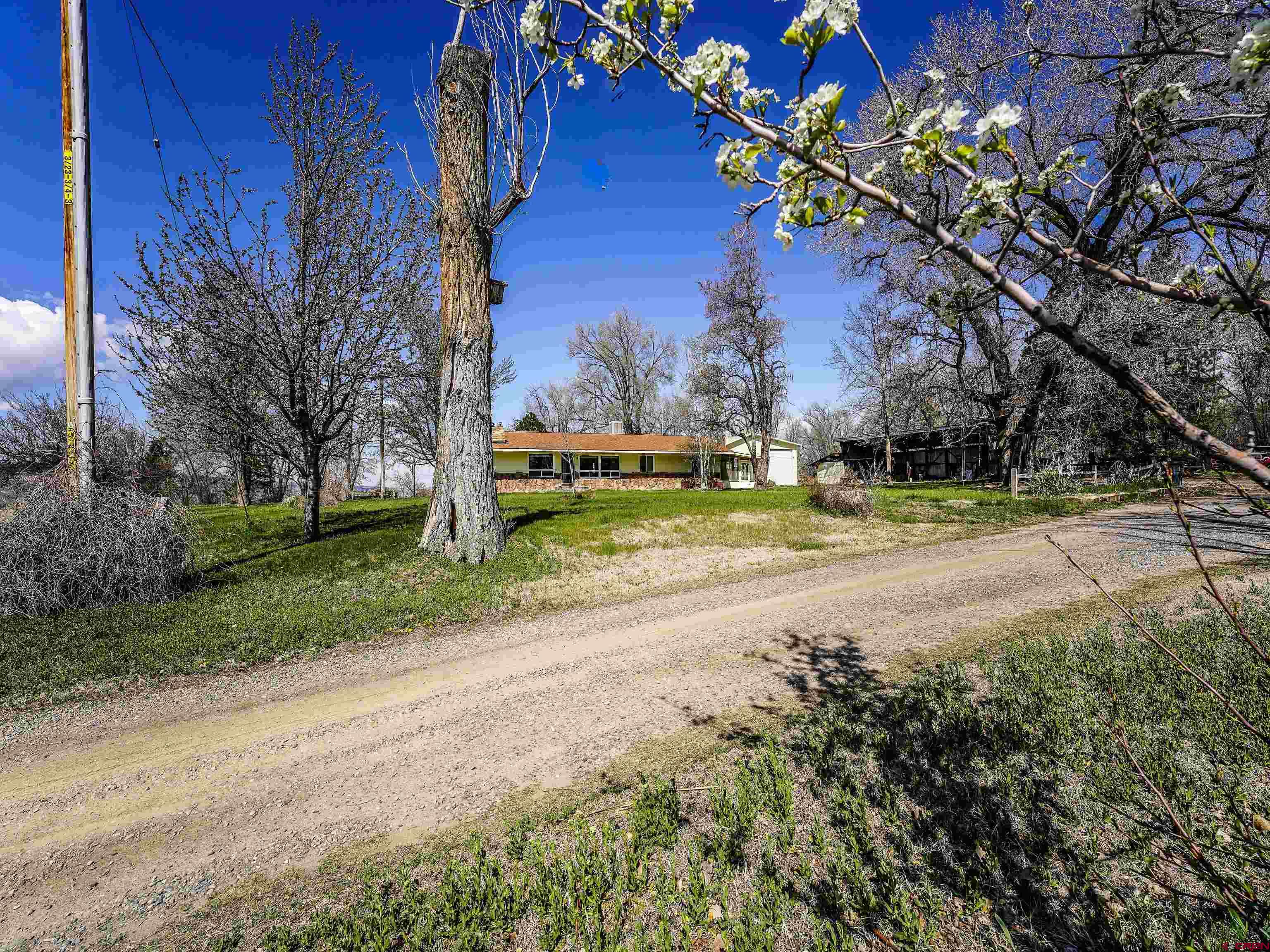 2326 I Road Grand Junction, CO 81505 - Photo 19 of 33