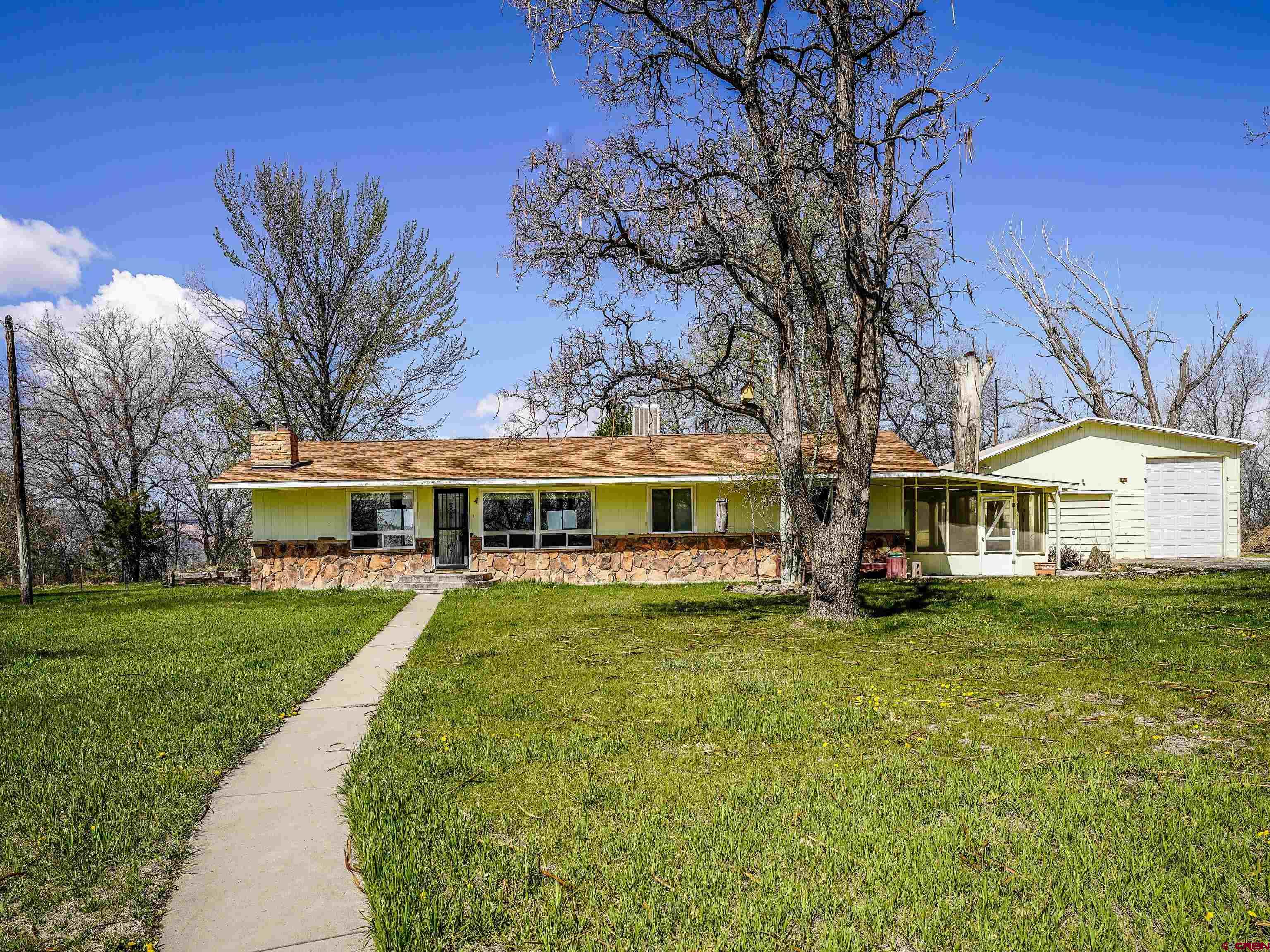 2326 I Road Grand Junction, CO 81505 - Photo 5 of 33 a view of a house with a big yard and large trees