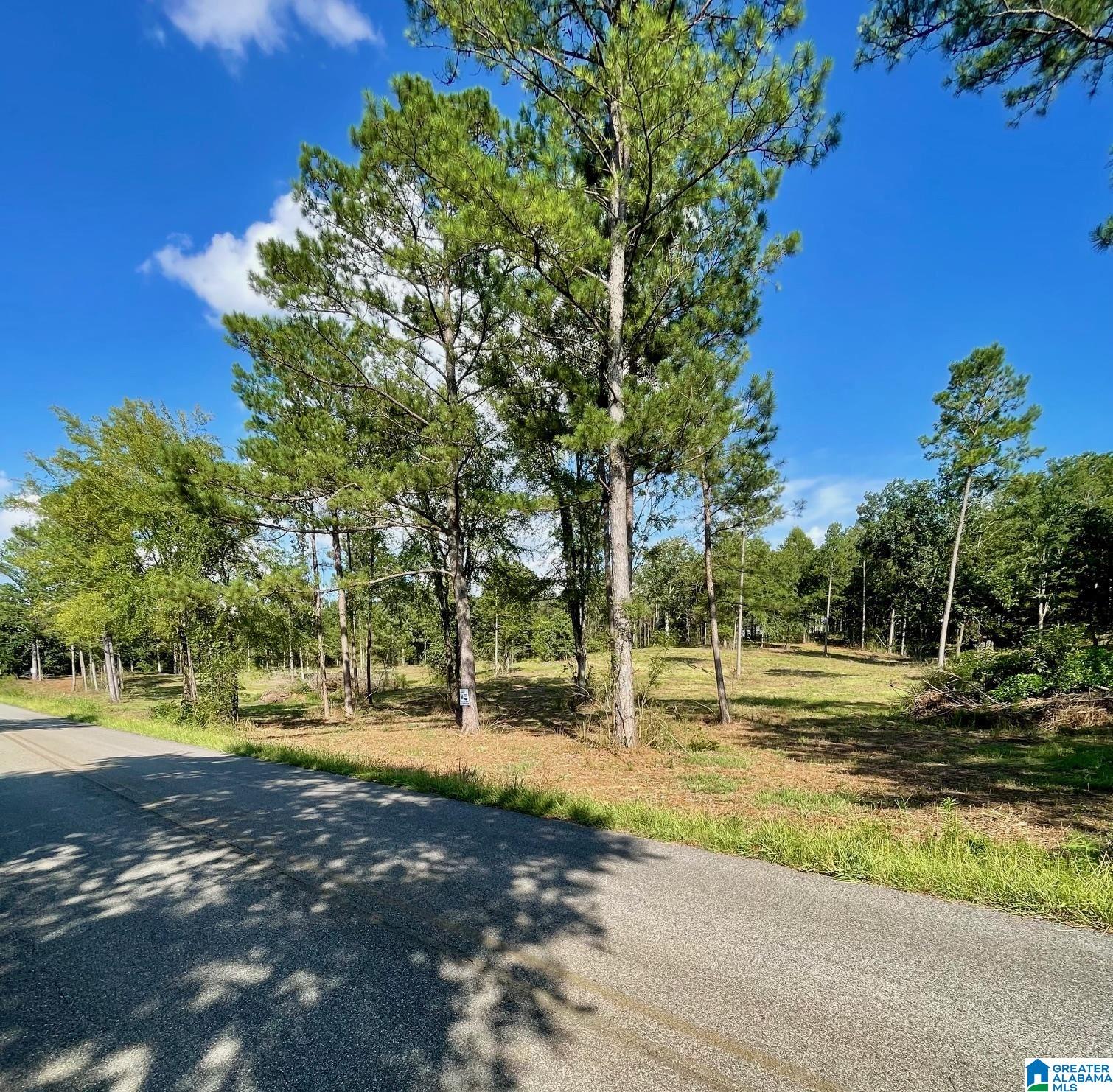 0 Ironaton Road, Unit 1 Talladega, AL 35160 - Photo 8 of 10