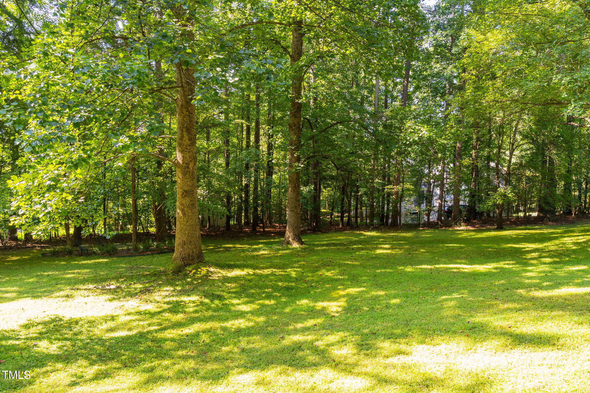 8236 Jackson Road Wake Forest, NC 27587 - Photo 58 of 74 a view of a trees in a yard