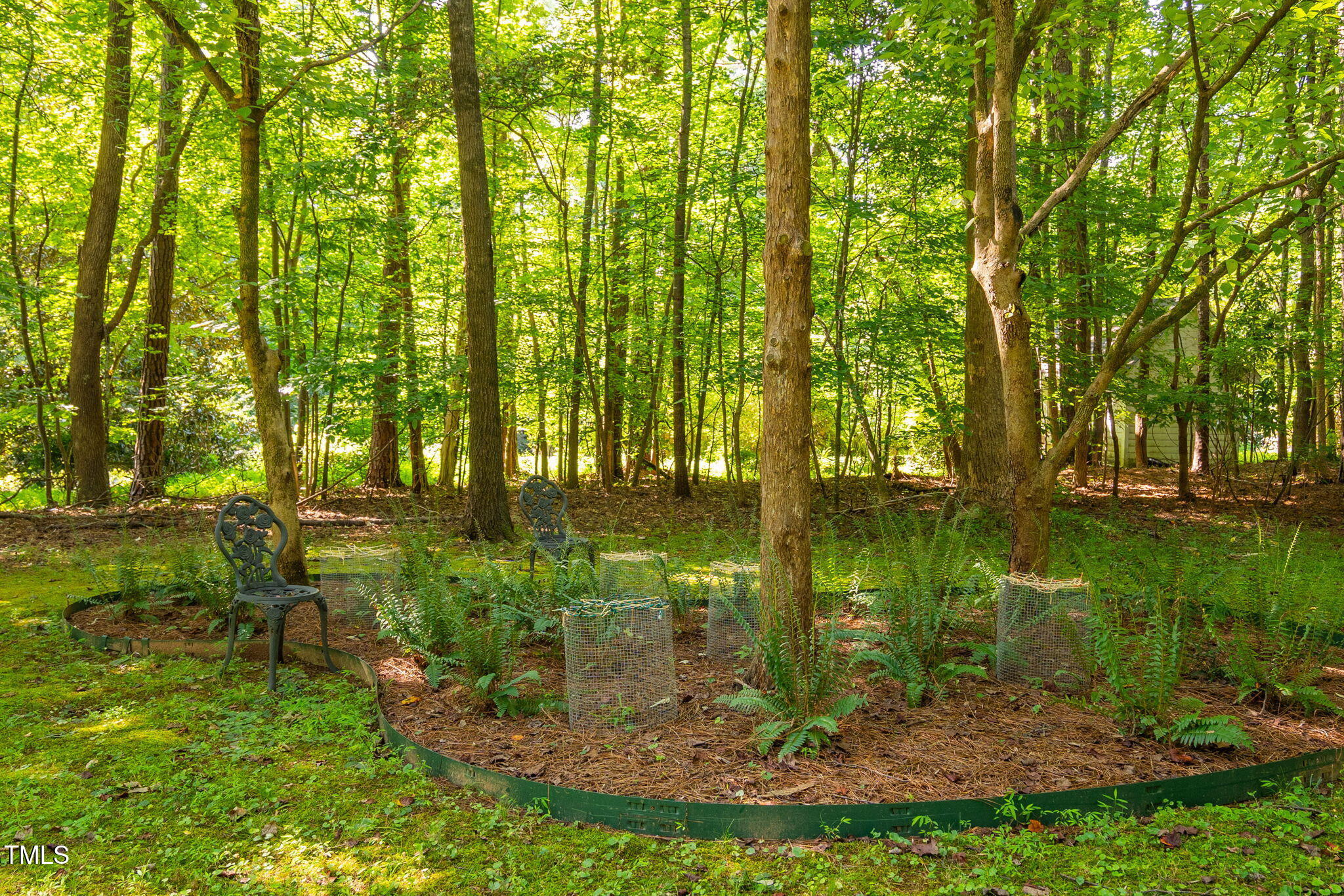8236 Jackson Road Wake Forest, NC 27587 - Photo 59 of 74 40e-Backyard-8236-jackson-rd-Lyman_Real_