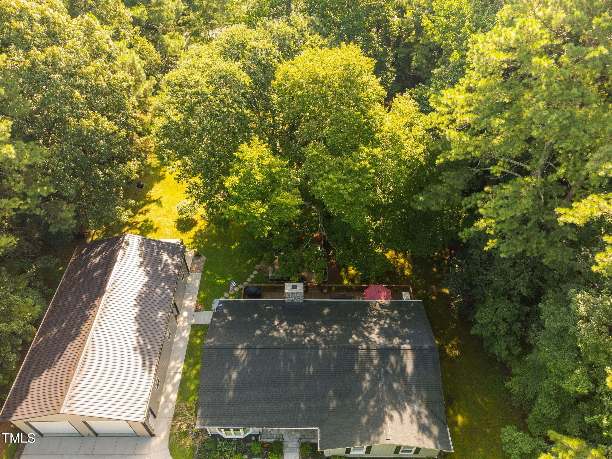 8236 Jackson Road Wake Forest, NC 27587 - Photo 67 of 74 a view of street with trees