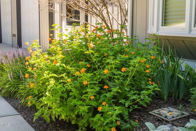 $549,900 | 8236 Jackson Road, Wake Forest, NC 27587