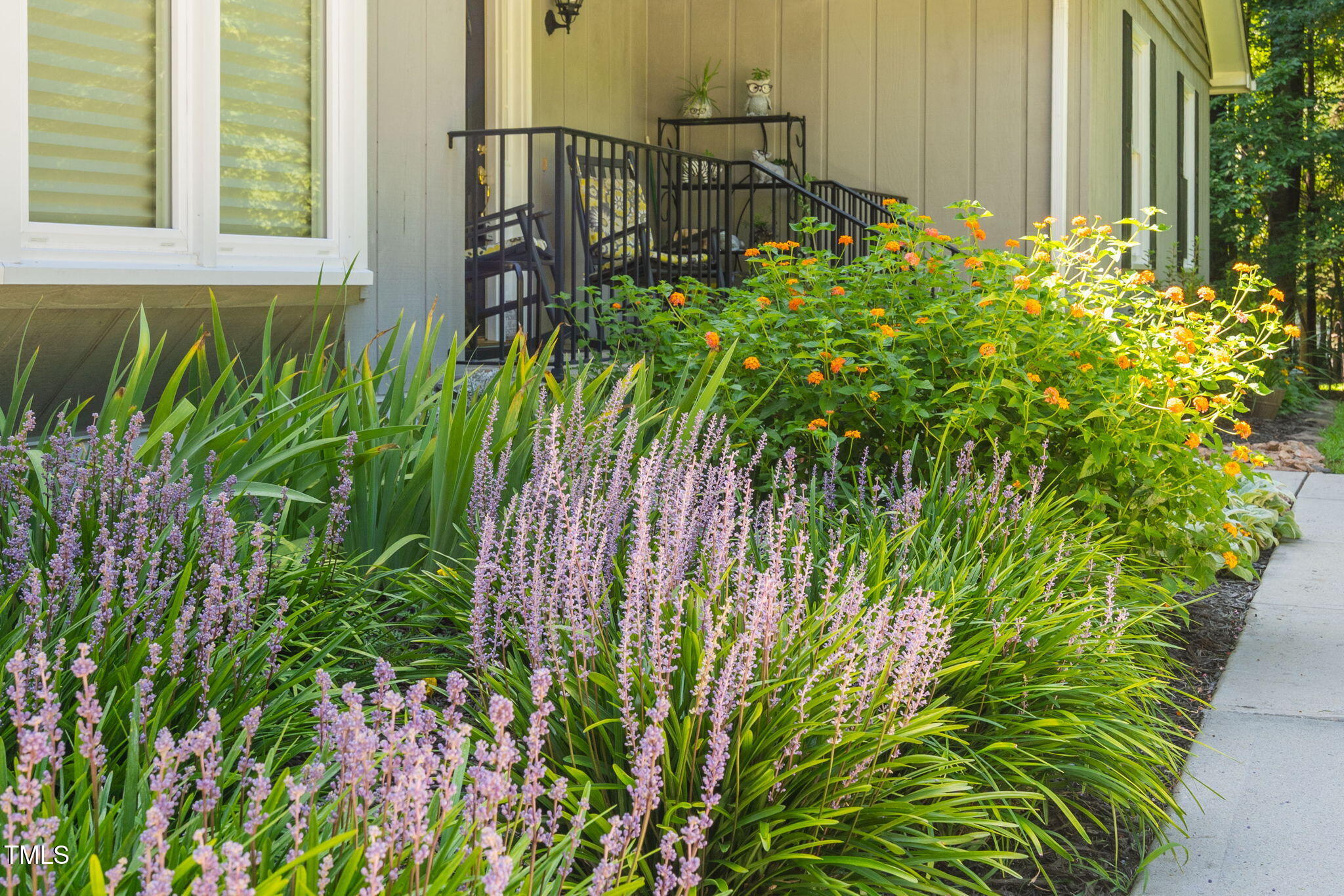 8236 Jackson Road Wake Forest, NC 27587 - Photo 7 of 74 5b-Gardens-Exterior-Front-8236-jackson-r
