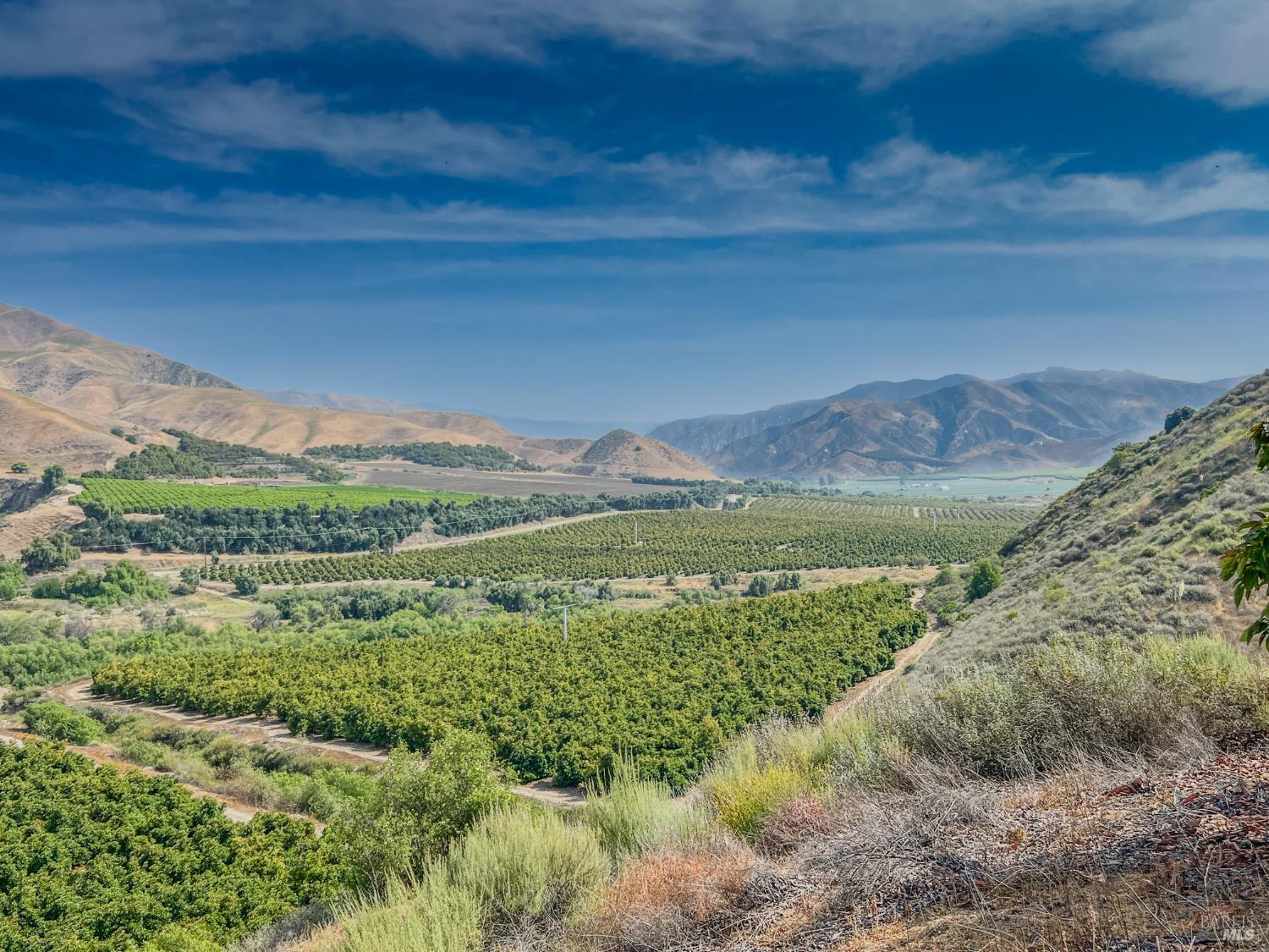 a view of a lush green forest with lots of trees