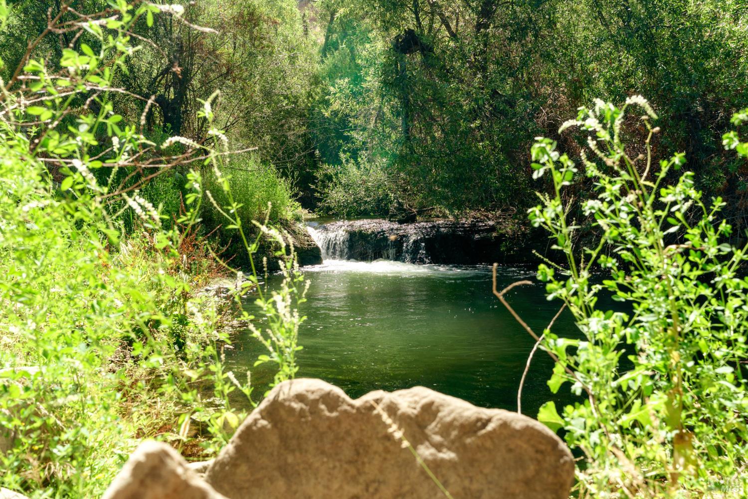 3800-3820 Piru Canyon Road Piru, CA 93040 - Photo 30 of 30 a backyard of a house with lots of green space