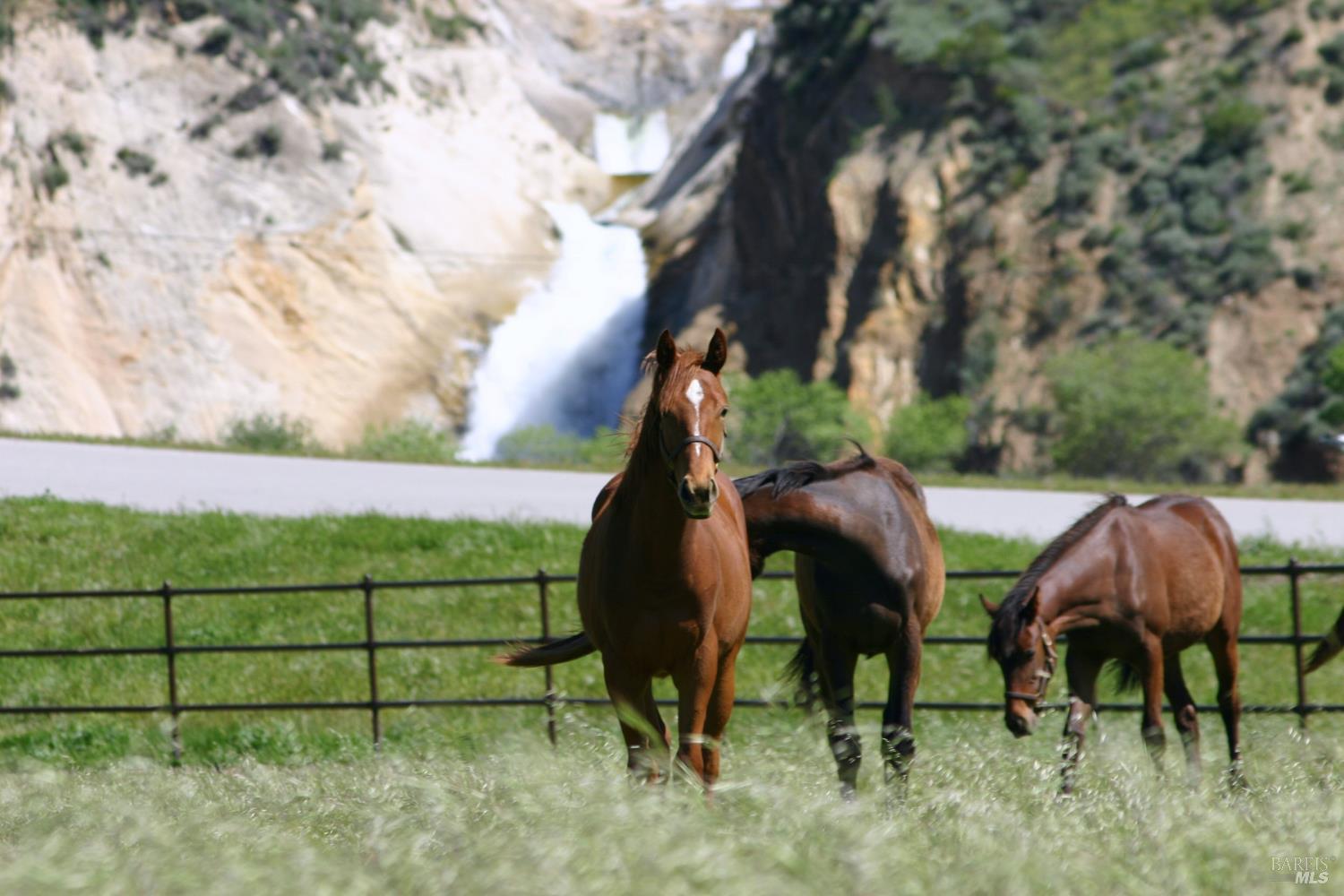 3800-3820 Piru Canyon Road Piru, CA 93040 - Photo 9 of 30 a view of outdoor space and yard