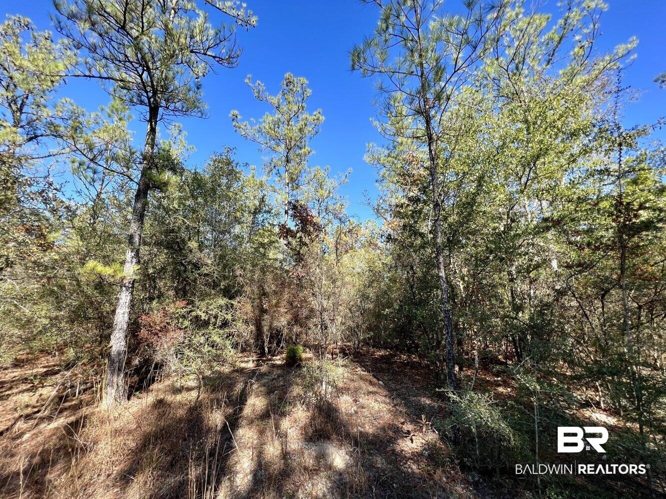 0 C C Road Chunchula, AL 36521 - Photo 5 of 27