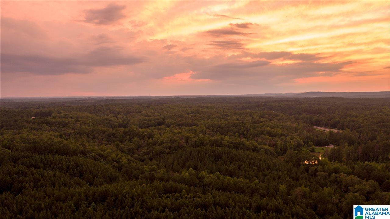 180 Gibson Road, Unit 76 / ACRES OFF GIBSON R Columbiana, AL 35051 - Photo 3 of 50
