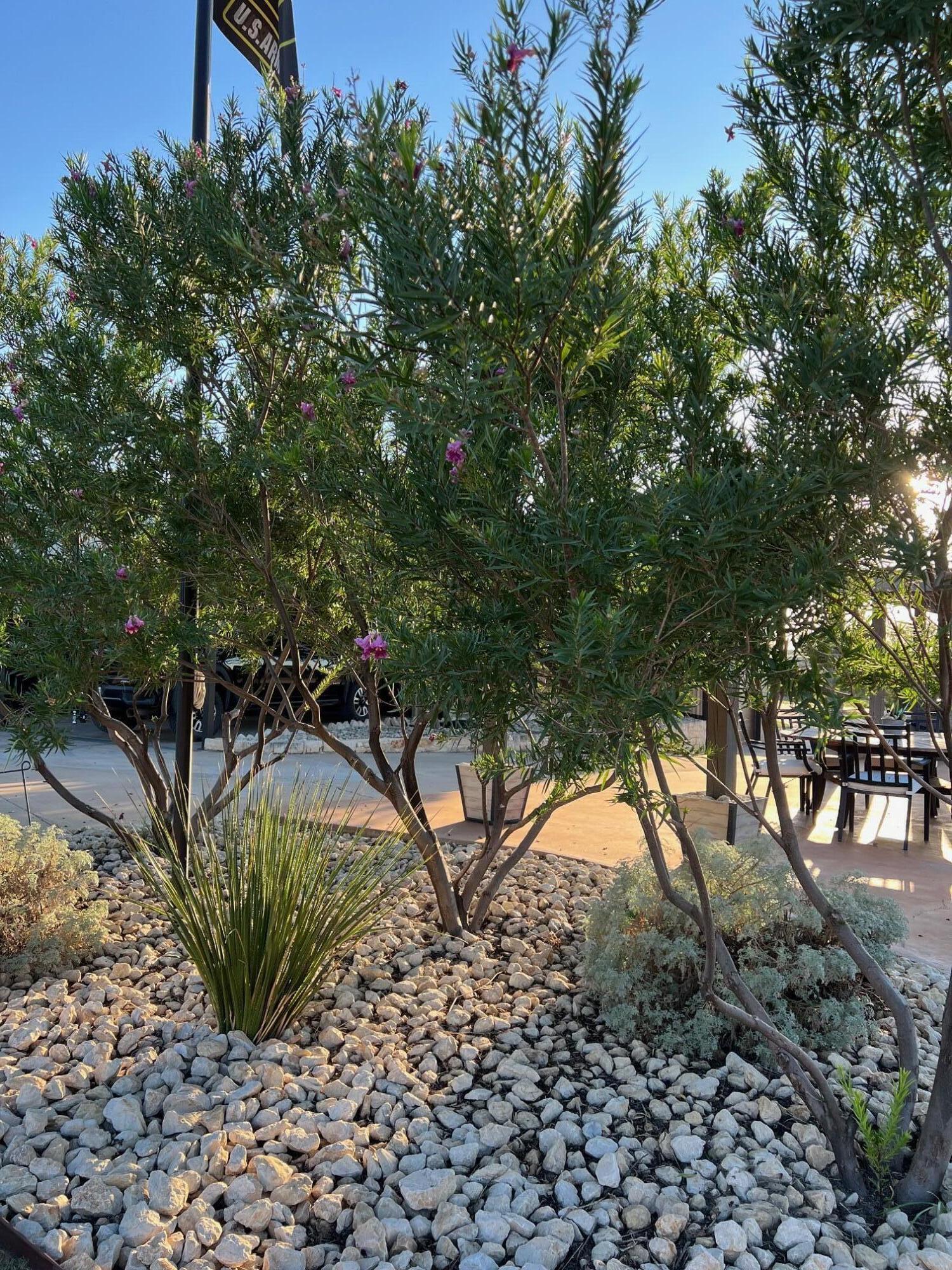 581 Becker Road Snyder, TX 79549 - Photo 71 of 83 image2