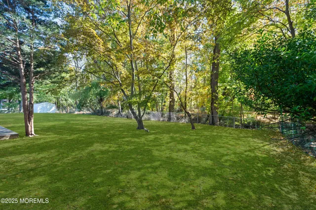 a huge green field with lots of trees