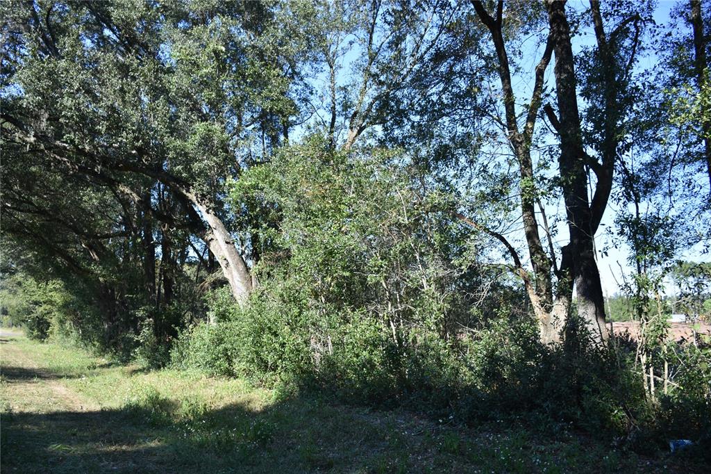 0 Southwest Sw Cr Archer, FL 32618 - Photo 1 of 1 a view of a yard with a tree