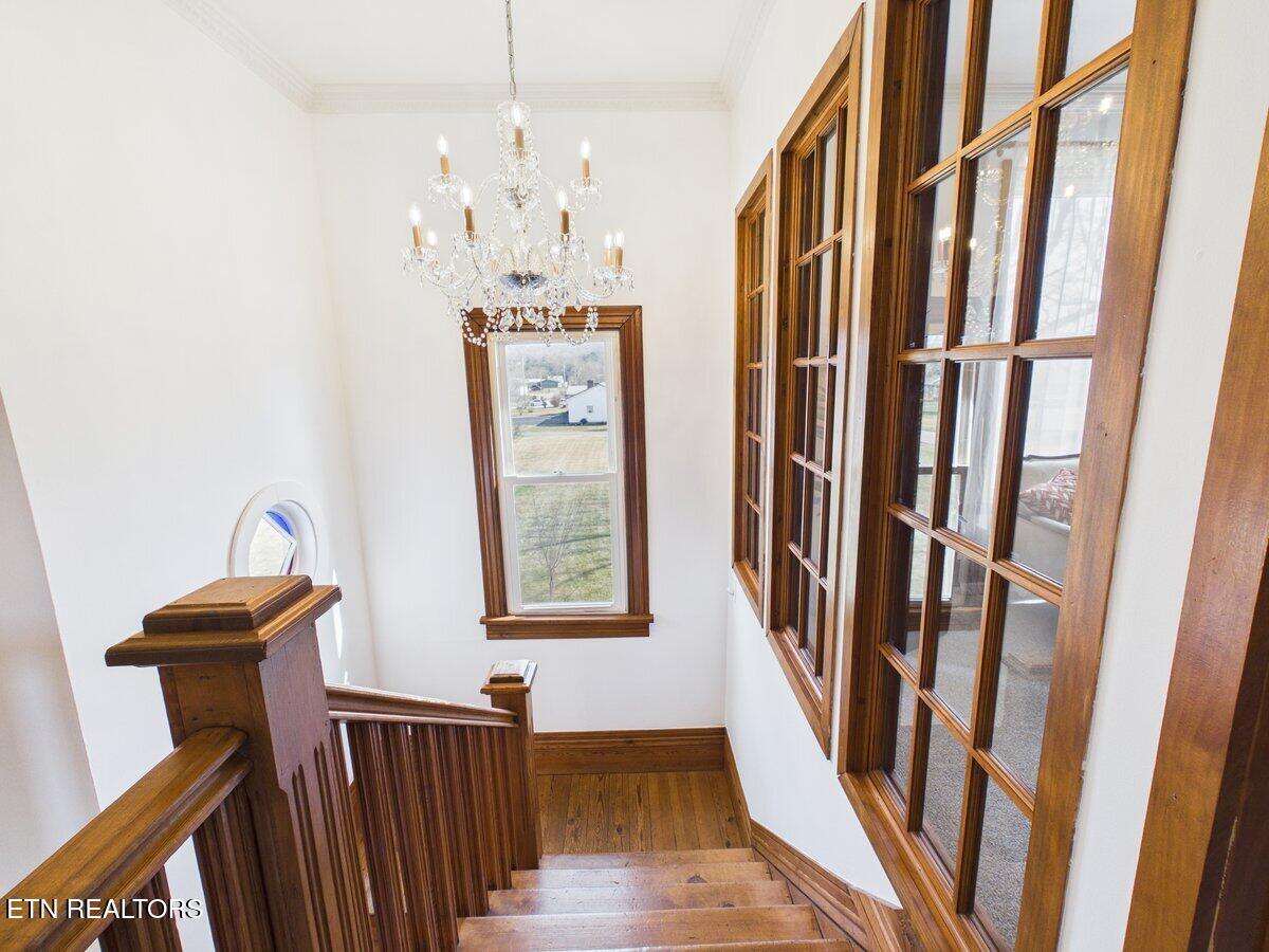 207 Thomas Road Speedwell, TN 37870 - Photo 45 of 59 CAM06131G6-PR0015-STILL058