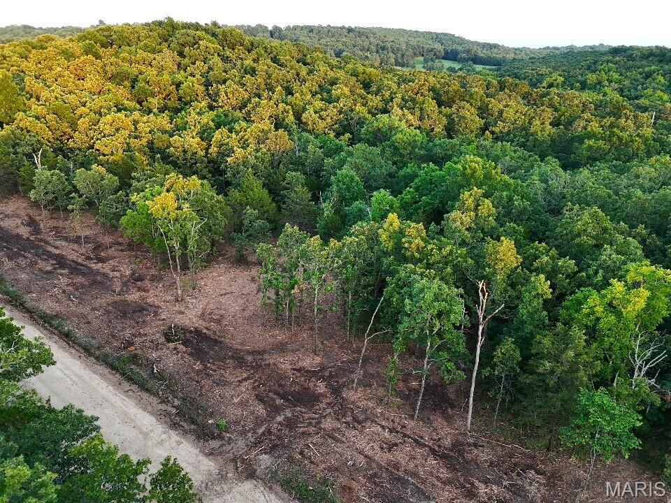 5 Cantrell Road Mansfield, MO 65704 - Photo 13 of 16