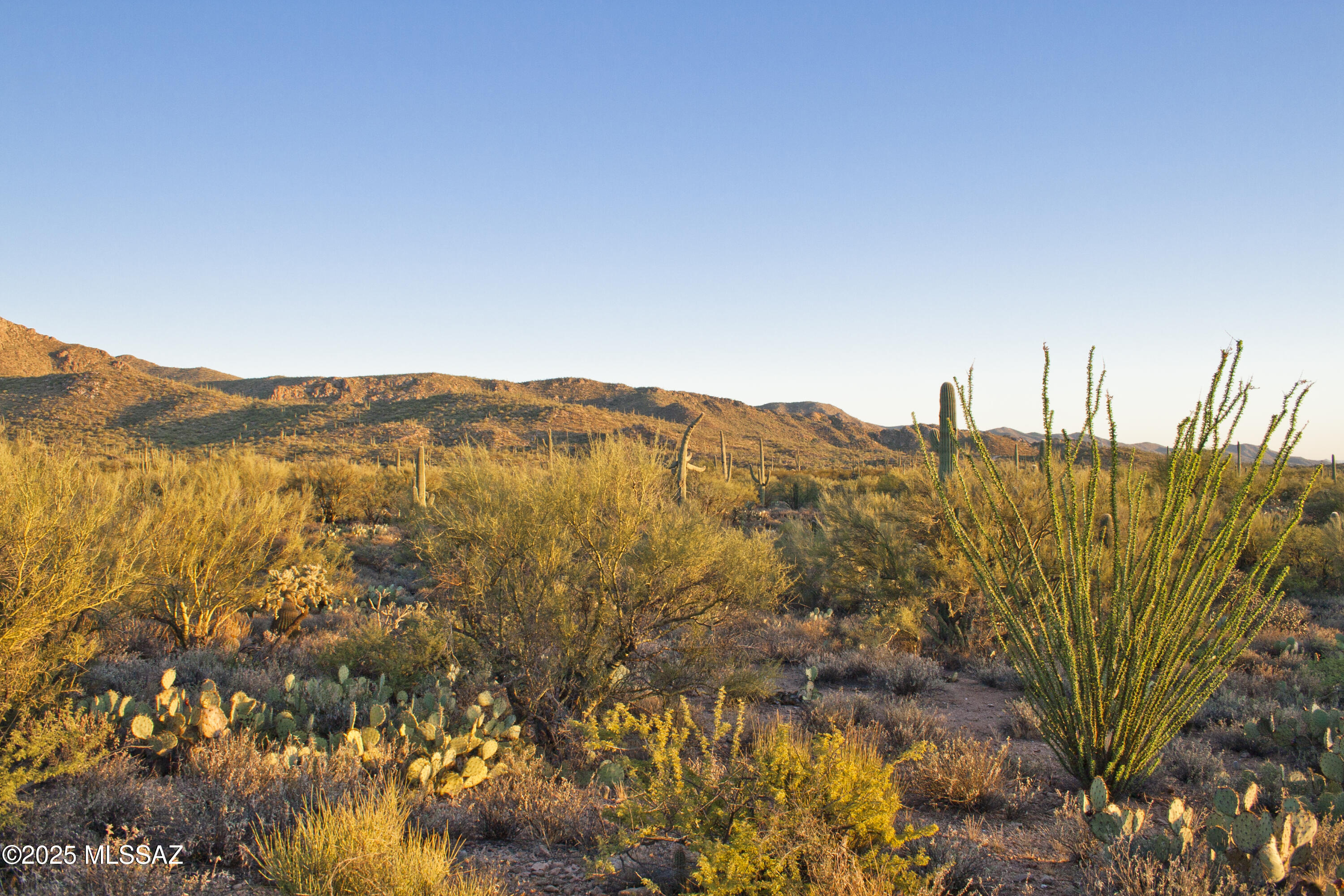 0 Silverian Road Marana, AZ 85658 - Photo 2 of 32