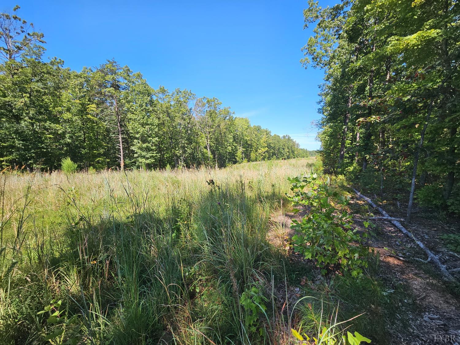 0 South James River Road Buckingham, VA 23921 - Photo 2 of 6
