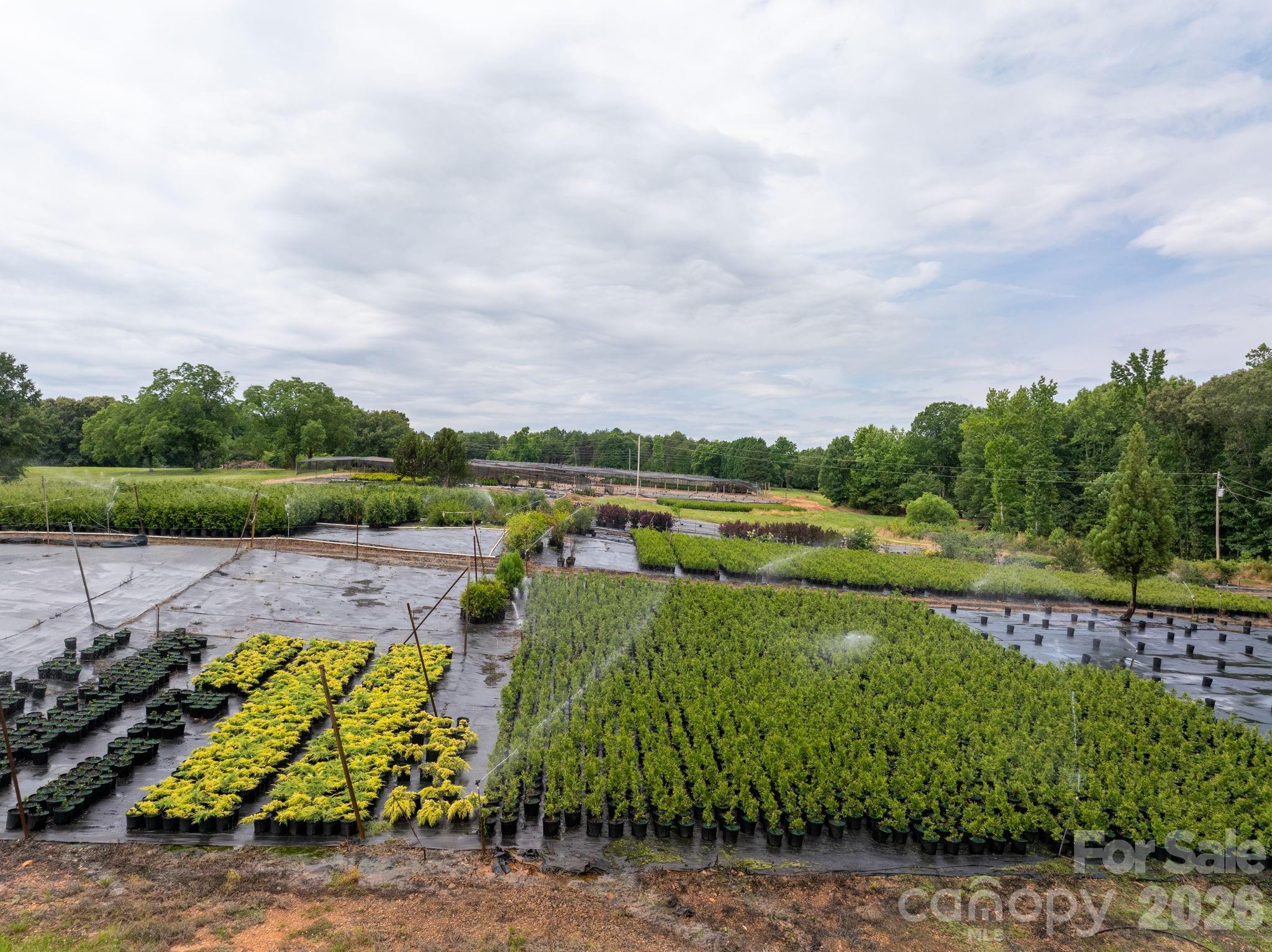 1350 Lee Cudd Road Rutherfordton, NC 28139 - Photo 3 of 38