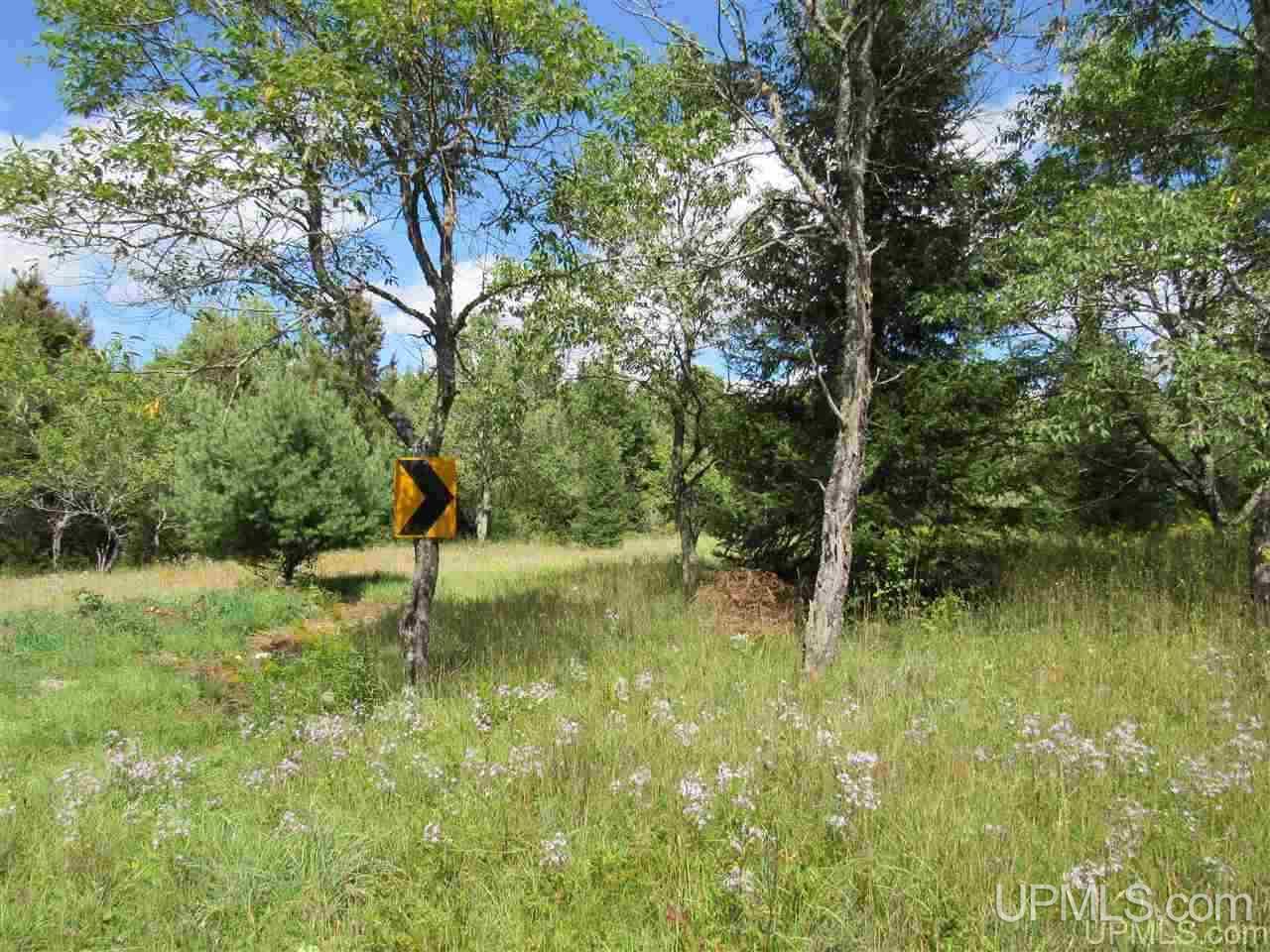 Tbd Tbd Off Stagecoach Road Michigamme, MI 49861 - Photo 30 of 37