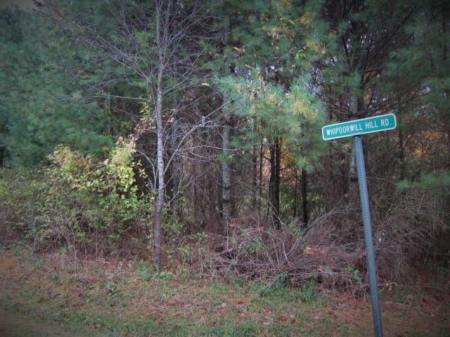 88 Whipperwill Hill Road Gap Mills, WV 24941 - Photo 45 of 68 Gallery Image 45
