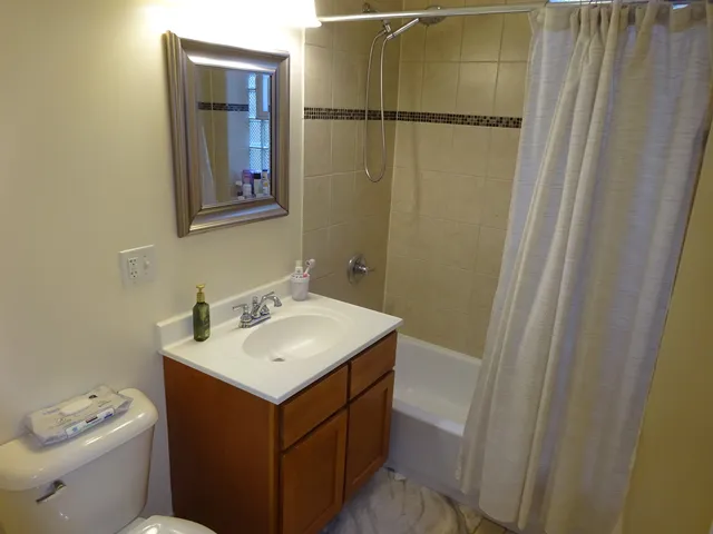 a bathroom with a sink toilet and vanity