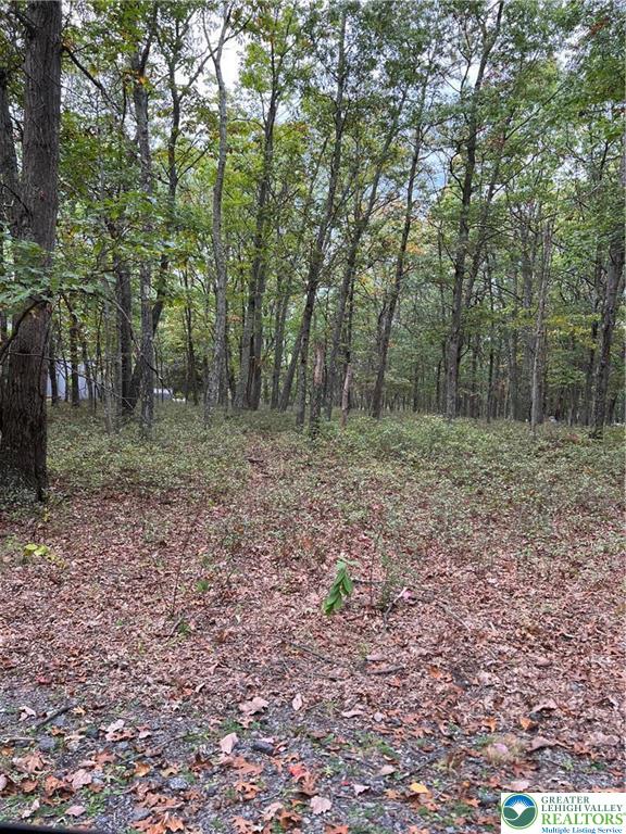 275 Forest Drive Canadensis, PA 18325 - Photo 1 of 7