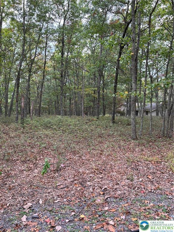275 Forest Drive Canadensis, PA 18325 - Photo 2 of 7