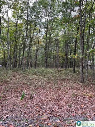 $20,000 | 275 Forest Drive, Canadensis, PA 18325