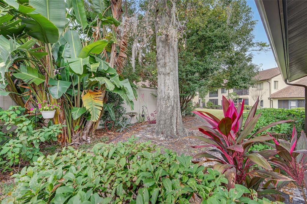 3581 Magnolia Ridge Circle, Unit C Palm Harbor, FL 34684 - Photo 23 of 27