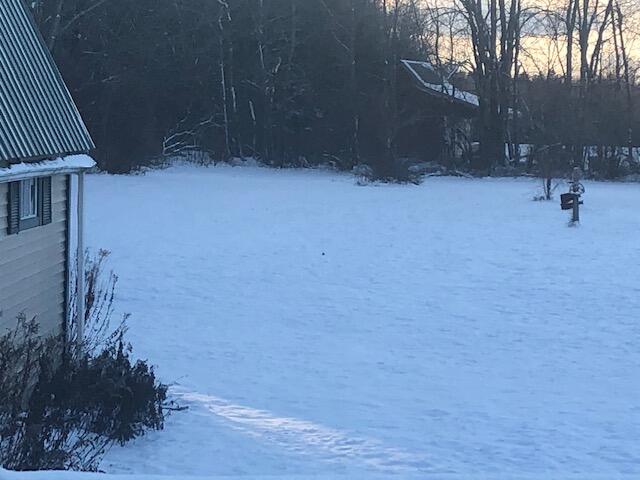 352 Williams Road Newport, ME 04953 - Photo 15 of 48 IMG_0529