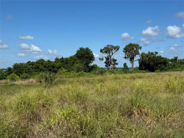 a view of a big yard with a large tree and a table and chairs