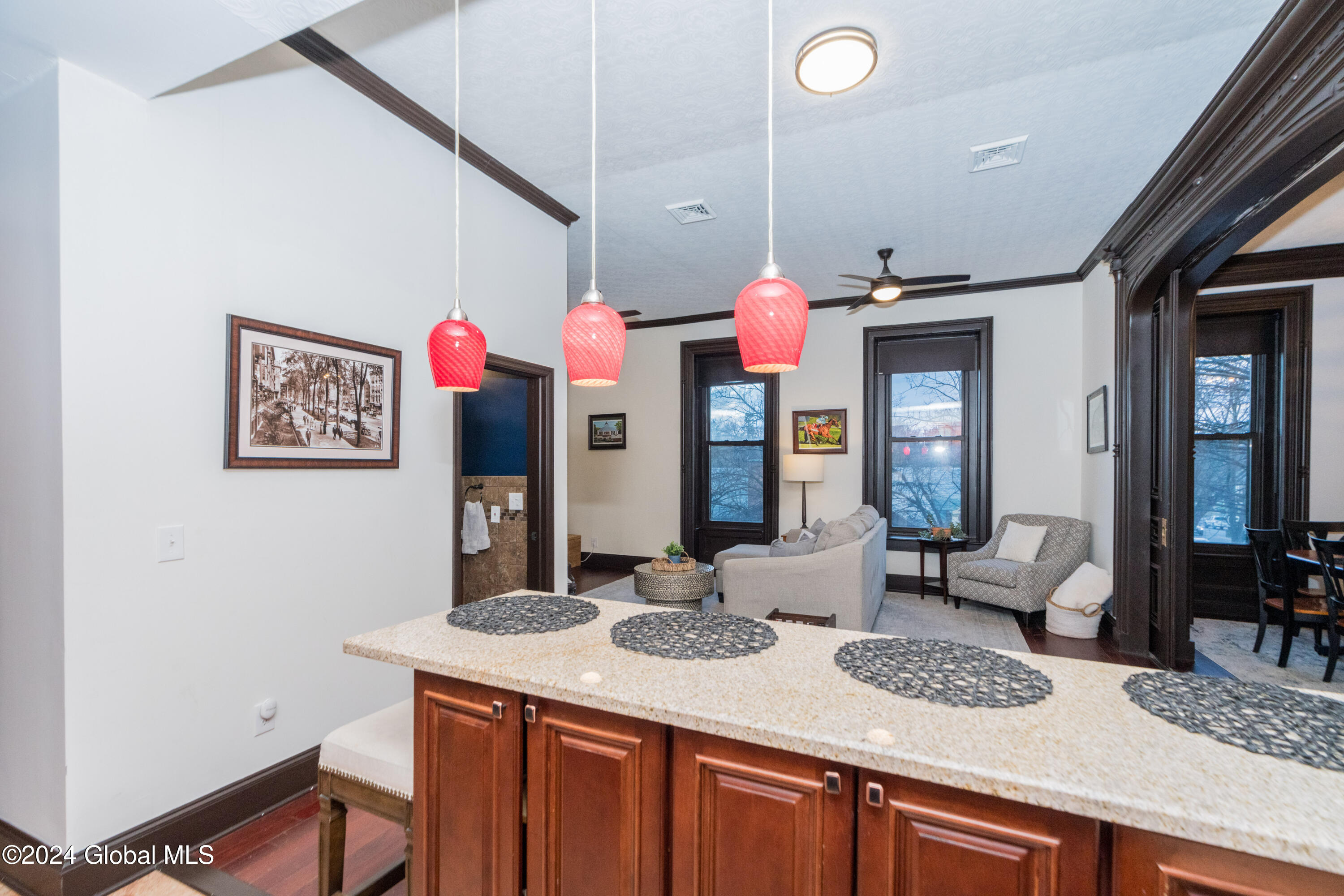 1 Spring Street, Unit 201 Saratoga Springs, NY 12866 - Photo 5 of 21 DSC00446