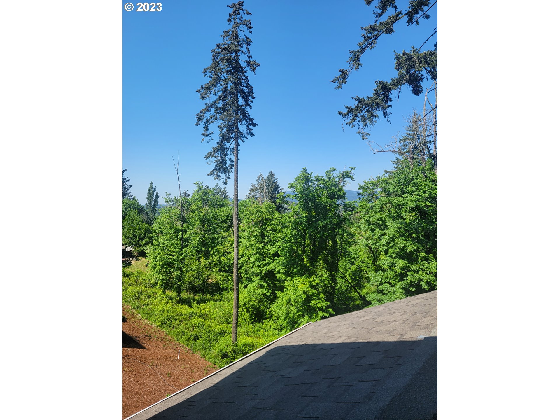 3734 Rockcress Road Eugene, OR 97403 - Photo 38 of 46 Gallery Image 38
