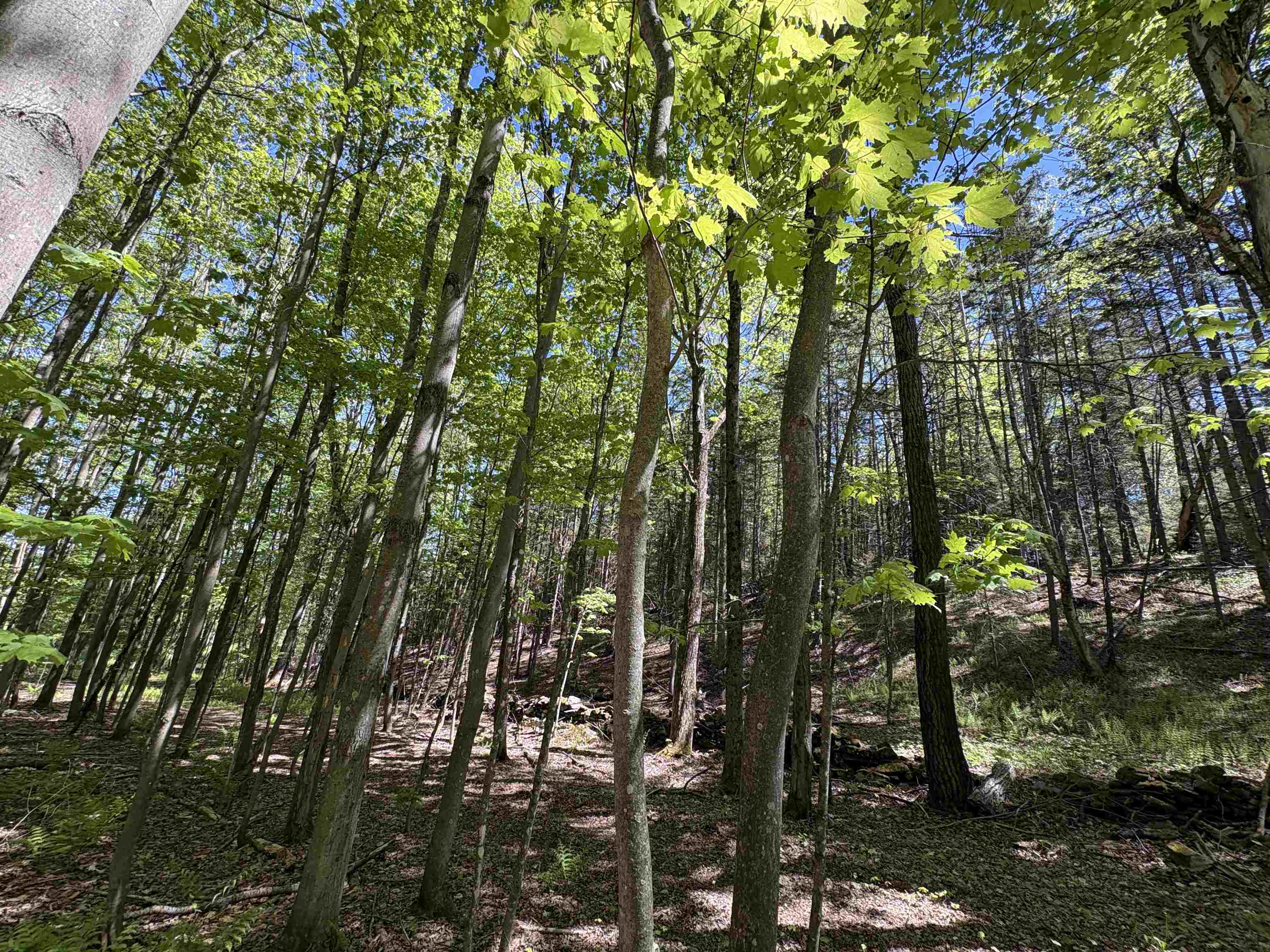 396 Rand Road Randolph, VT 05061 - Photo 28 of 28