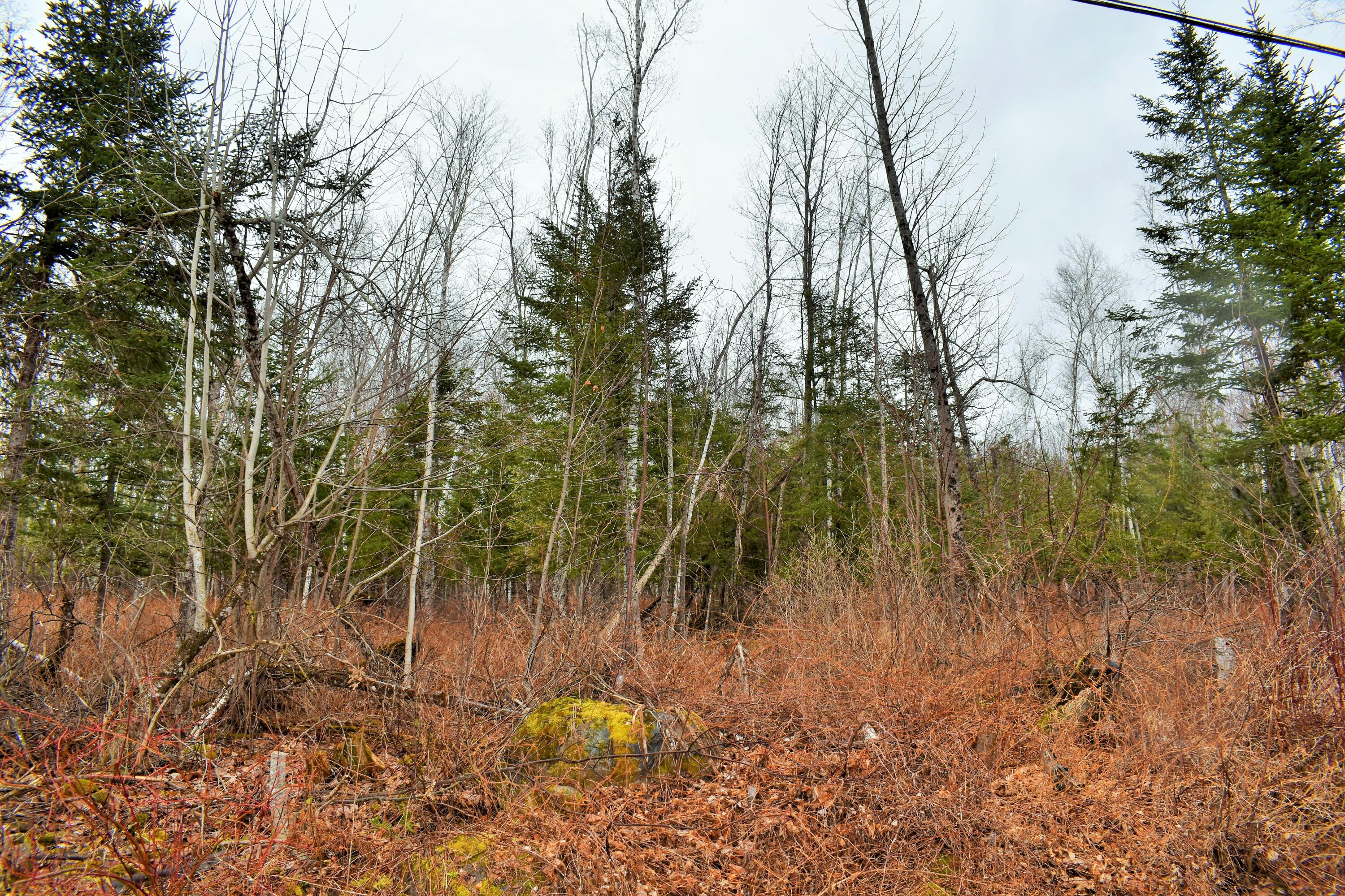 90 Cotta Lane St. Albans, ME 04971 - Photo 14 of 24 DSC_0427