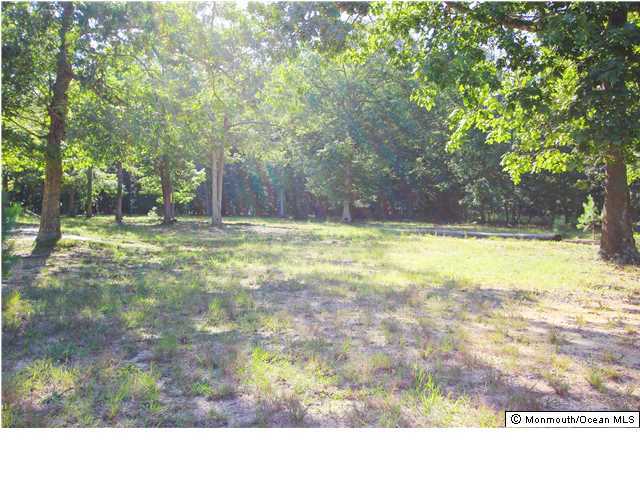 0 Fort Plains Road, Unit 131 175 Howell, NJ 07731 - Photo 20 of 25 a view of a yard with a tree