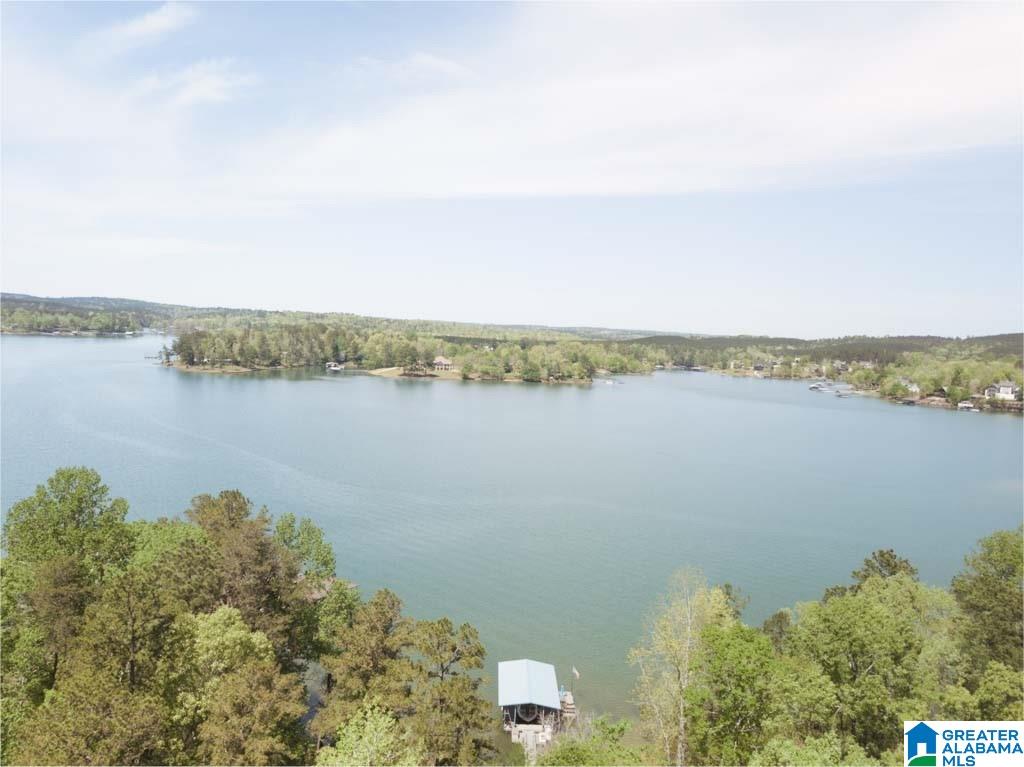 77 Port Tack Road Double Springs, AL 35553 - Photo 47 of 49