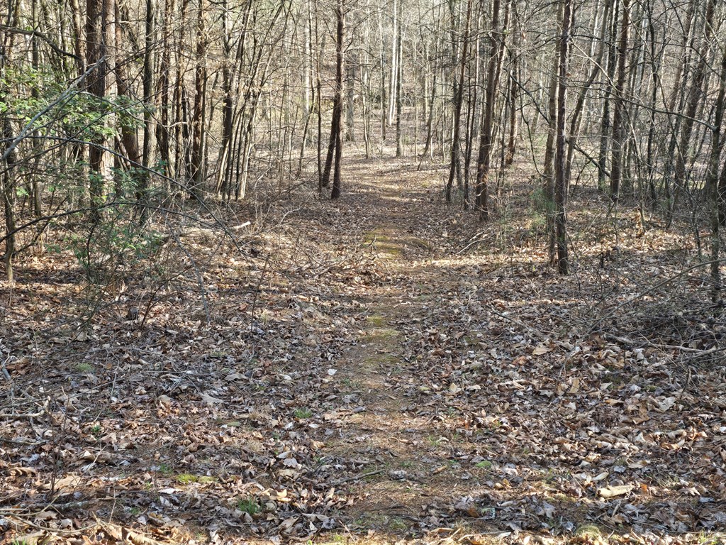 120 Claw Run Murphy, NC 28906 - Photo 35 of 40 Entrance of Walking Trail