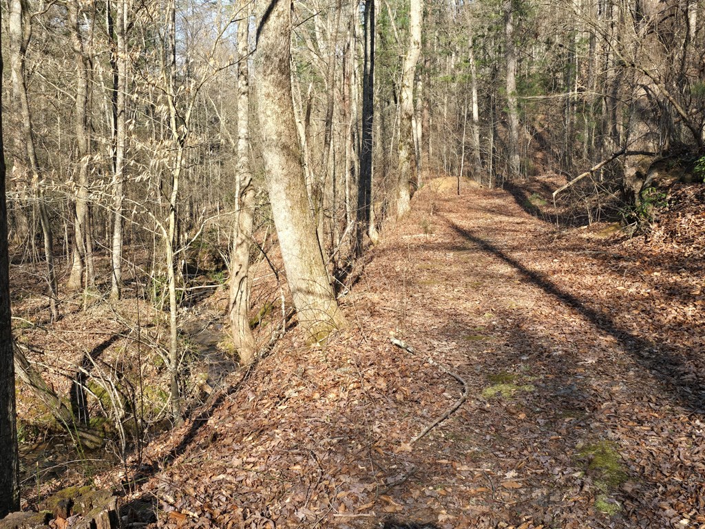 120 Claw Run Murphy, NC 28906 - Photo 37 of 40 Walking Trail
