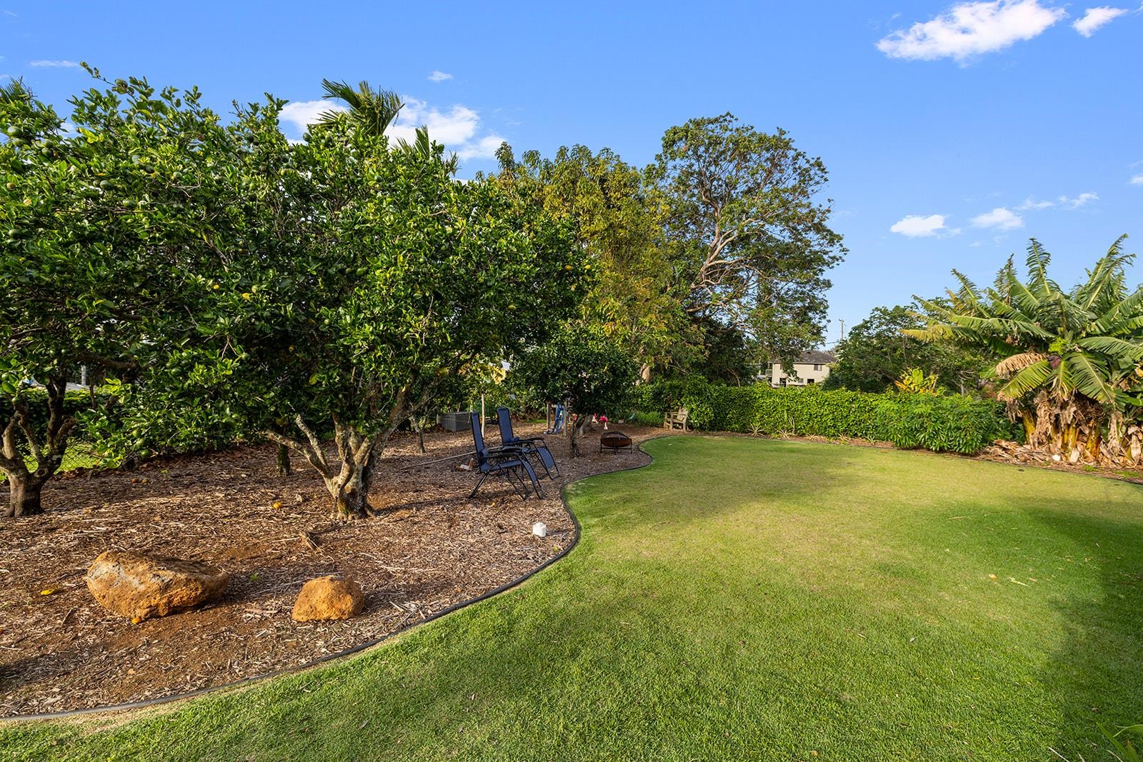 1697 Haiku Road Haiku, HI 96708 - Photo 19 of 48 a view of a garden with a tree