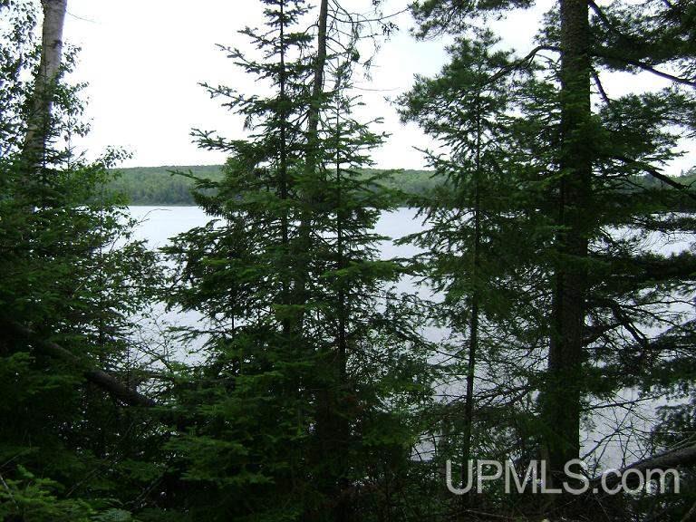 Tbd West Cable Lake Road Crystal Falls, MI 49903 - Photo 2 of 5