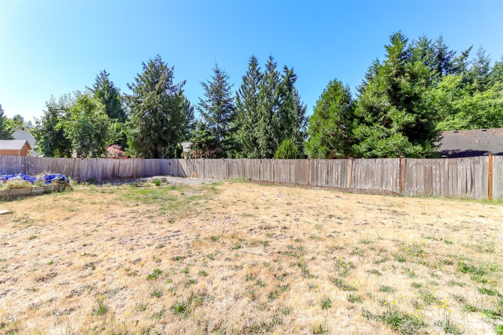 2516 Harts Lake Road South Roy, WA 98580 - Photo 34 of 40 a view of a backyard with a tree