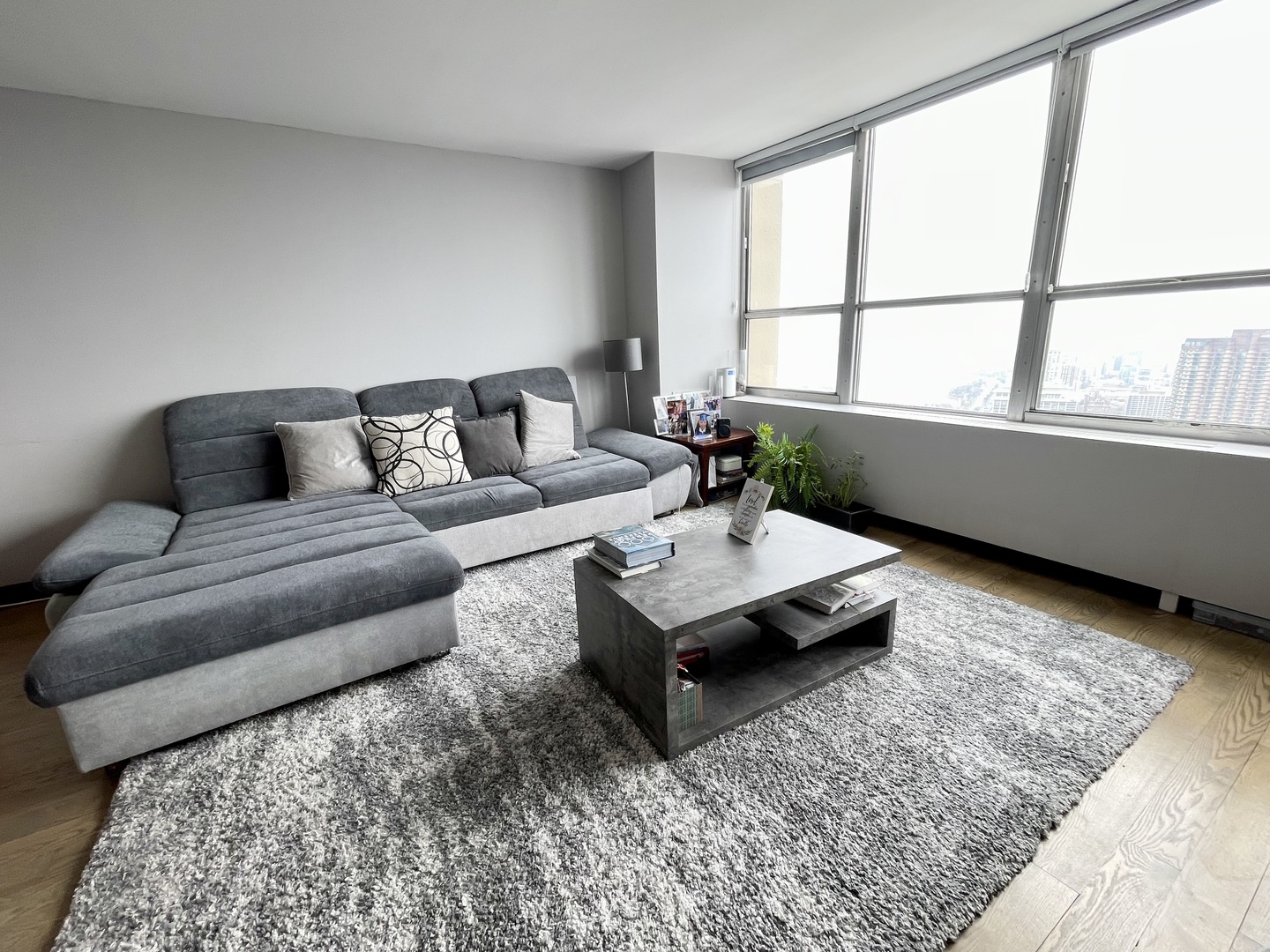 655 West Irving Park Road, Unit 5509 Chicago, IL 60613 - Photo 4 of 22 Gallery Image 4